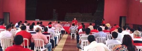 En Villarrica también recolectarán firmas para pedir enmienda