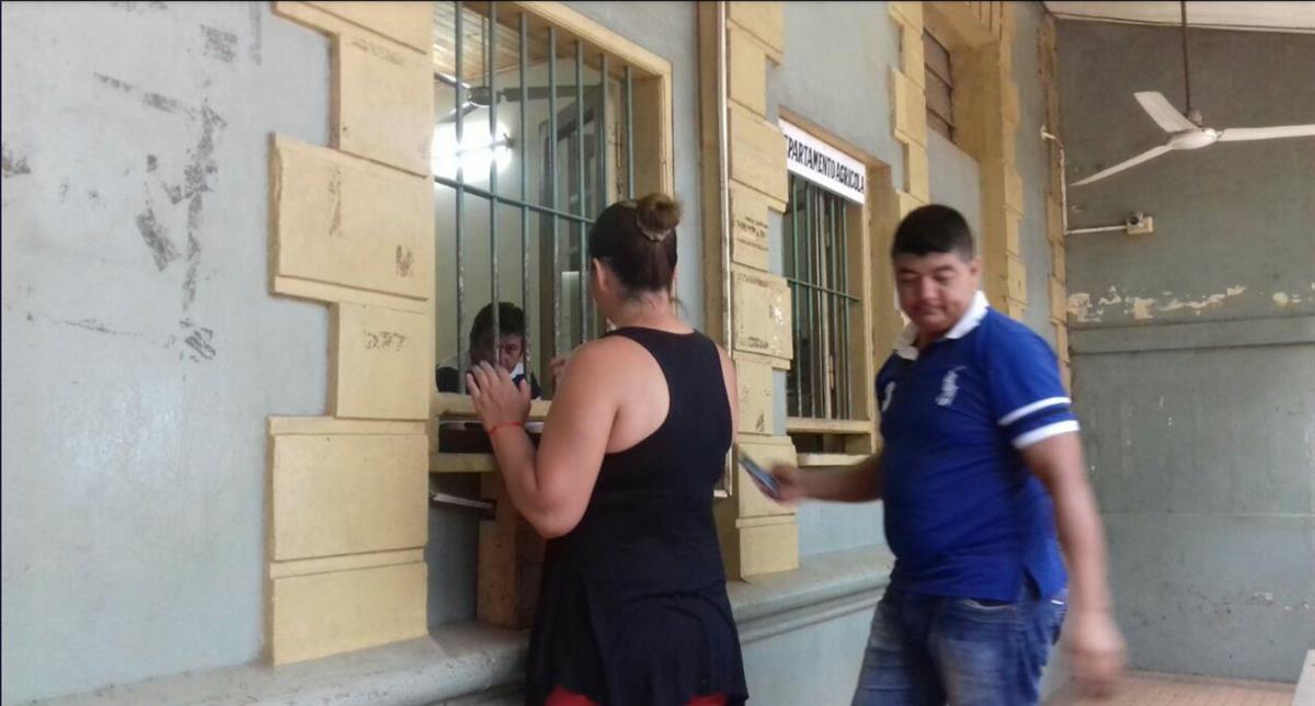 Cañeros cobran hoy en Azucarera Friedmann