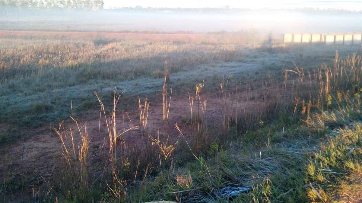 Hubo niebla y heladas esta mañana