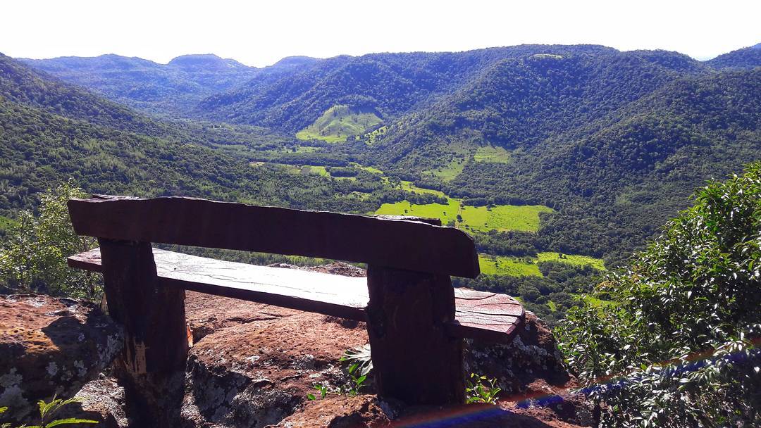 Diputados rechazan ley  de protección al Ybytyruzu