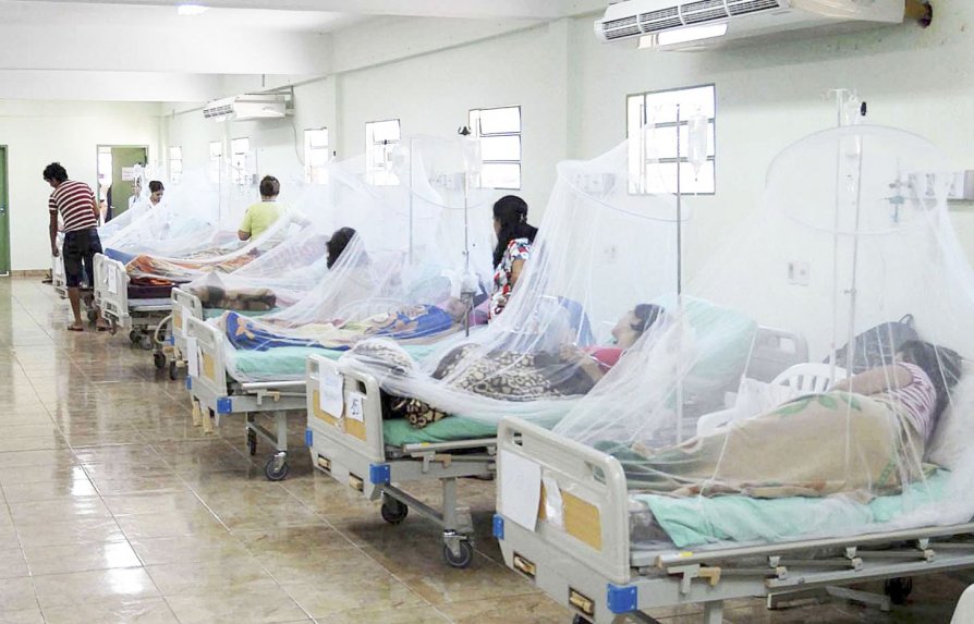 Tres ciudades están amenazadas por dengue