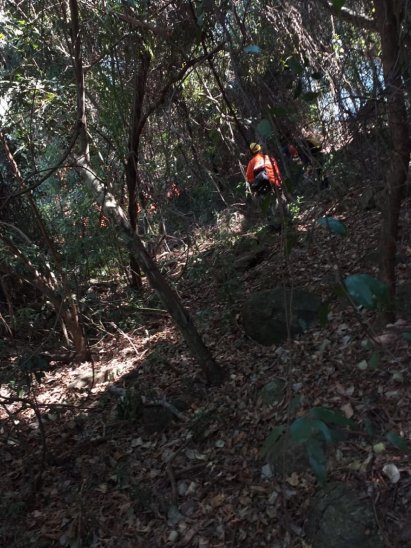 Preocupa avance de incendio en cerro Mbocayaty de La Colmena