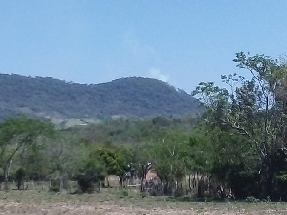 VARIAS INSTITUCIONES TRABAJARON PARA CONTROLAR INCENDIOS