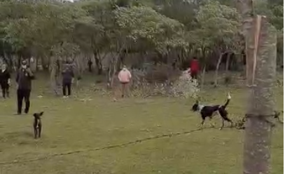 Denuncian ocupación en campo comunal de Yataity