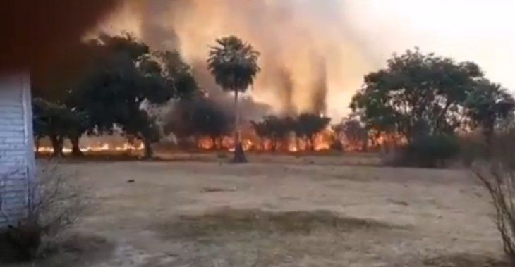 ¡Dejen de quemar, carajo! piden bomberos, tras reportar más de 1.900 focos de incendios en el país.