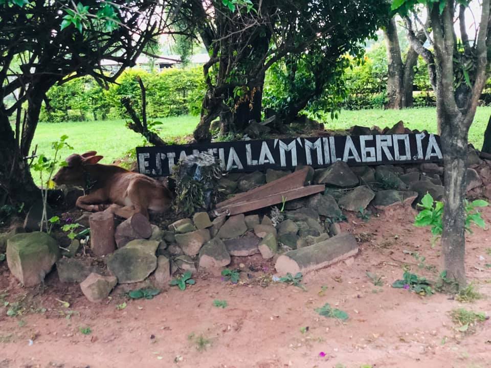 Caazapá: Asesinan a propietario de Estancia La M Milagrosa de Sargento Potrero (3 de Mayo).