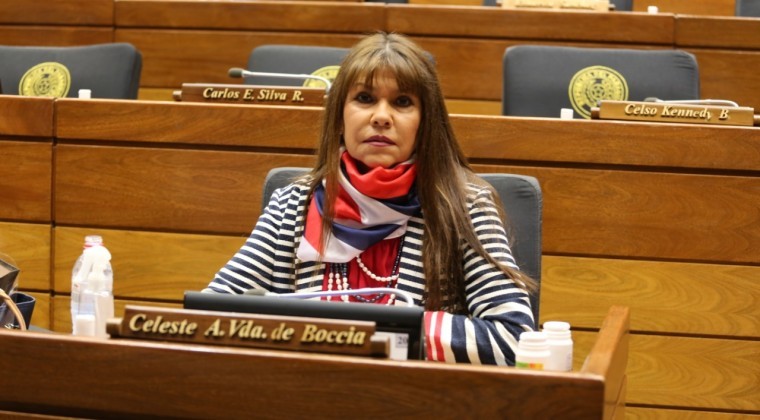 Ratifican suspensión de diputada Celeste Amarilla.
