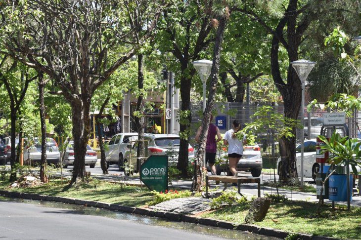 Clima cálido con temperatura agradable para este viernes