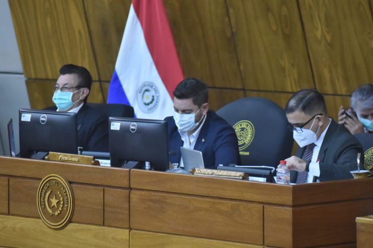 Mayoría colorada impone por cuarta vez la Presidencia de Pedro Alliana en Diputados