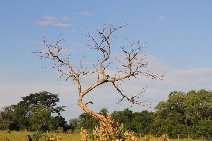 Clima fresco a cálido y con mucha humedad para este martes