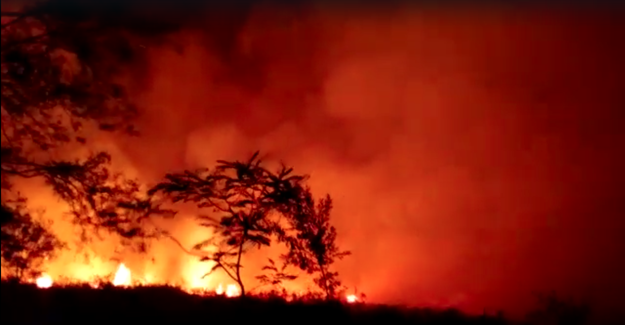 Bomberos realizaron trabajos intensos en incendio camino a la UCV donde fue quemado 800 hectáreas aproximadamente.