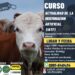 ARJP Regional Guairá organiza Taller de Actualización en Inseminación Artificial en Villarrica.