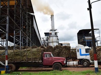 Petropar llegó a 350.000 toneladas de molienda en Mauricio J. Troche.