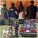 Aprehensión por presunto abigeo y recuperación de animal en Guairá.