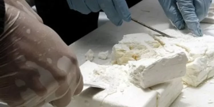 Cae importante carga de cocaína en Alemania, que habría salido de Paraguay.