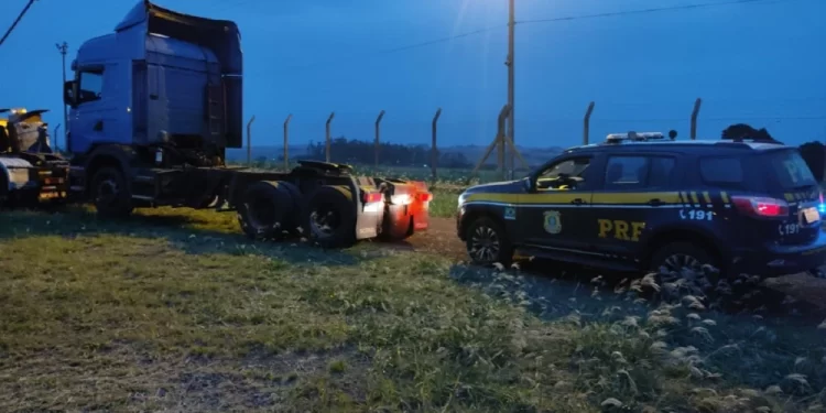 Pareja paraguaya es arrestada en Brasil con media tonelada de marihuana.