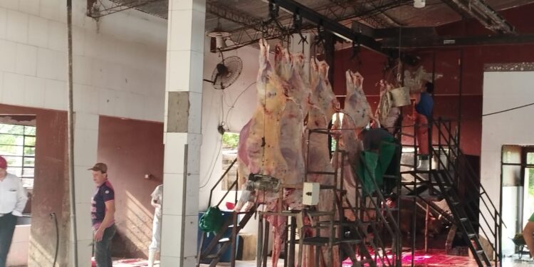 INCORPORAN MEJORAS EN MATADERO MUNICIPAL DE VILLARRICA
