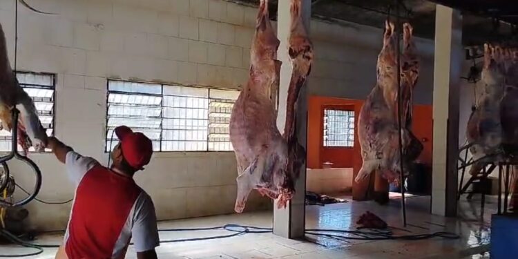 MATADERO MUNICIPAL MUEVE EN LA ECONOMÍA VILLARRIQUEÑA ENTRE 500 A 600MIL DÓLARES POR MES.