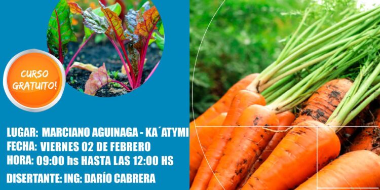 Curso Practico y Teórico, Cultivo de Zanahoria y Remolacha