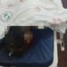 UNA MUJER FUE ASESINADA EN ITURBE