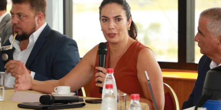 Ministra de Obras reconoció mal estado de algunas rutas, pero alega poca disponibilidad de recursos