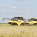 Presidente afirma que Paraguay se convertirá en poco tiempo en potencia mundial en la producción de arroz