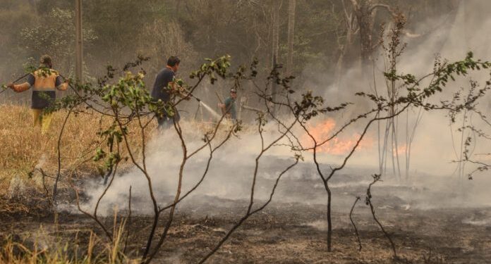Infona amplía plazo de prohibición total de uso de fuego