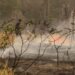 Infona amplía plazo de prohibición total de uso de fuego
