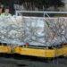 Éxito ganadero paraguayo: partió la primera exportación de suero fetal bovino a Gran Bretaña