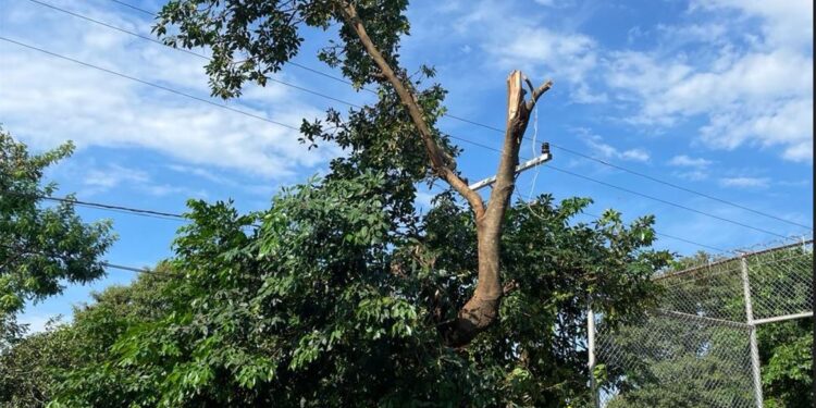 Un recluso murió electrocutado en la cárcel de Villarrica