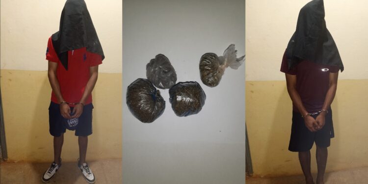 APREHENSION DE PERSONAS POR SUPUESTO HURTO, TENENCIA DE PRESUNTA MARIHUANA, Y RESISTENCIA AL PERSONAL POLICIAL.