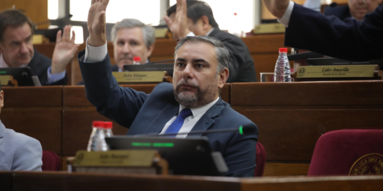 Senadores libero-cartistas podrían salvarse de la expulsión si Kattya recupera su banca