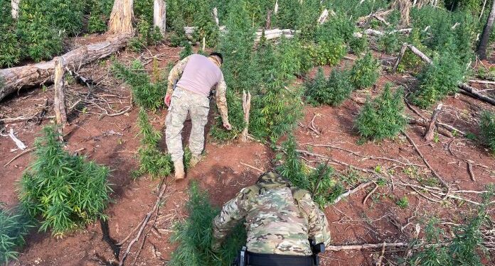 Paraguay y Brasil inician operativo contra el crimen organizado en la frontera