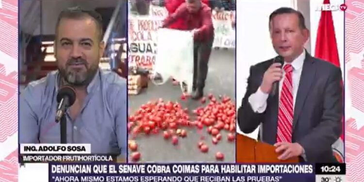 Gravísima denuncia de «millonarias coimas» en el SENAVE para otorgar certificados de importación