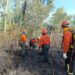 Bomberos negros con muchos servicios