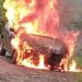 INCENDIO DE VEHÍCULO PRESUMIBLEMENTE POR PROBLEMAS ELÉCTRICOS