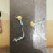 APREHENDIERON A DOS SUJETOS POR EL SUPUESTO HECHO DE TENENCIA DE ESTUPEFACIENTES