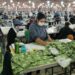 Bajo régimen de la maquila, Paraguay busca consolidarse en centro de producción de marcas internacionales