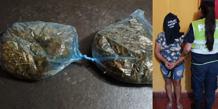 Detienen a una mujer por supuesta tenencia de marihuana