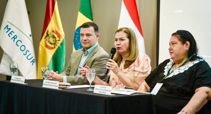 Referentes de Salud del Mercosur definirán estrategias contra el dengue y otras arbovirosis
