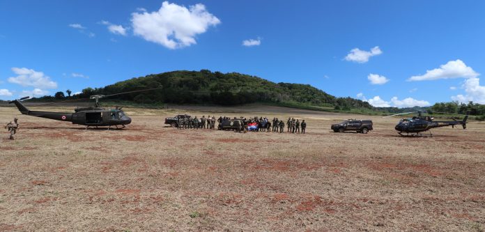 Paraguay y Brasil abren operación y eliminan 75 toneladas de marihuana en su primera jornada