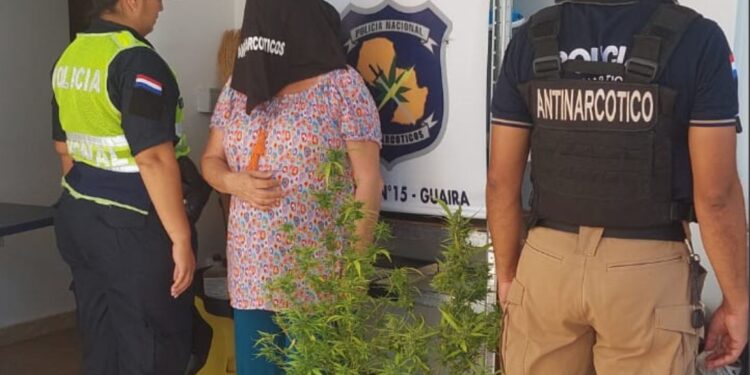 MUJER DE NACIONALIDAD SUIZA APREHENDIDA CON SUPUESTA MARIHUANA EN INDEPENDENCIA