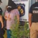 MUJER DE NACIONALIDAD SUIZA APREHENDIDA CON SUPUESTA MARIHUANA EN INDEPENDENCIA