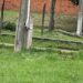 INTENDENCIA DE LA COLMENA TRABAJA PARA HABILITAR POLIDEPORTIVO