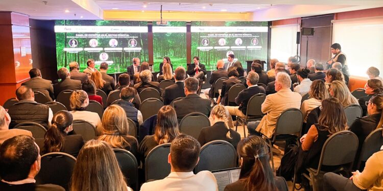Paraguay: un destino cada vez más atractivo para los inversores en el sector forestal