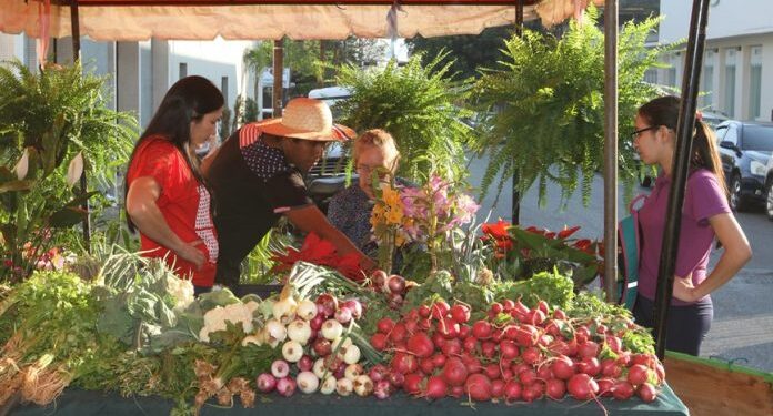 Abril cerró con una inflación interanual de 4,0%, levemente superior a marzo revela BCP