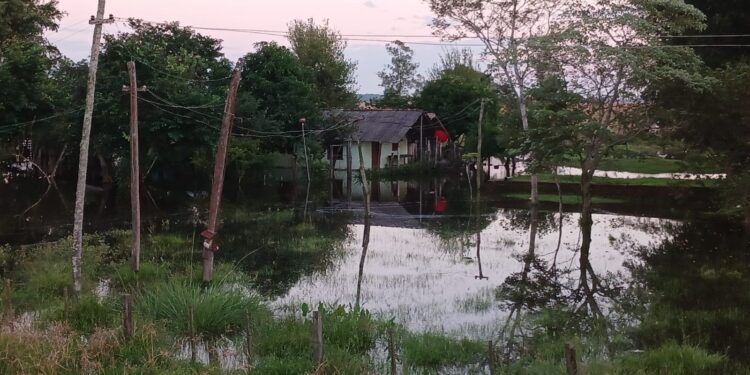 UNAS 50 FAMILIAS AFECTADAS POR INUNDACIONES EN CORONEL MARTÍNEZ