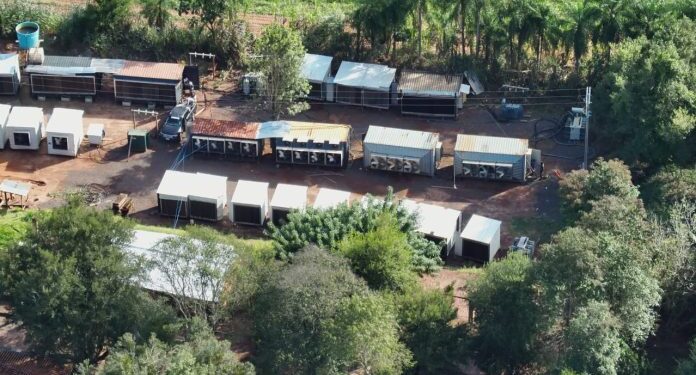 Detectan en Canindeyú la mayor granja ilegal de criptominería, con más de 2.700 máquinas operativas