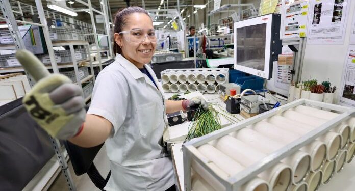 Más de 40.000 empleos se generaron mediante creación de nuevas unidades productivas