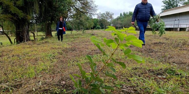 Preparan la competencia Plantatón 2024